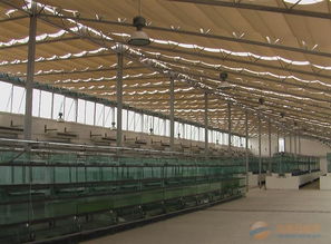溫室農業產業鏈全景 品牌、采購、圖片與批發中的大棚材料及配套設施設計