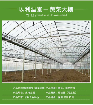 以利農業 專業化設計與一站式服務，打造高效智能的花卉養殖大棚與連棟玻璃溫室